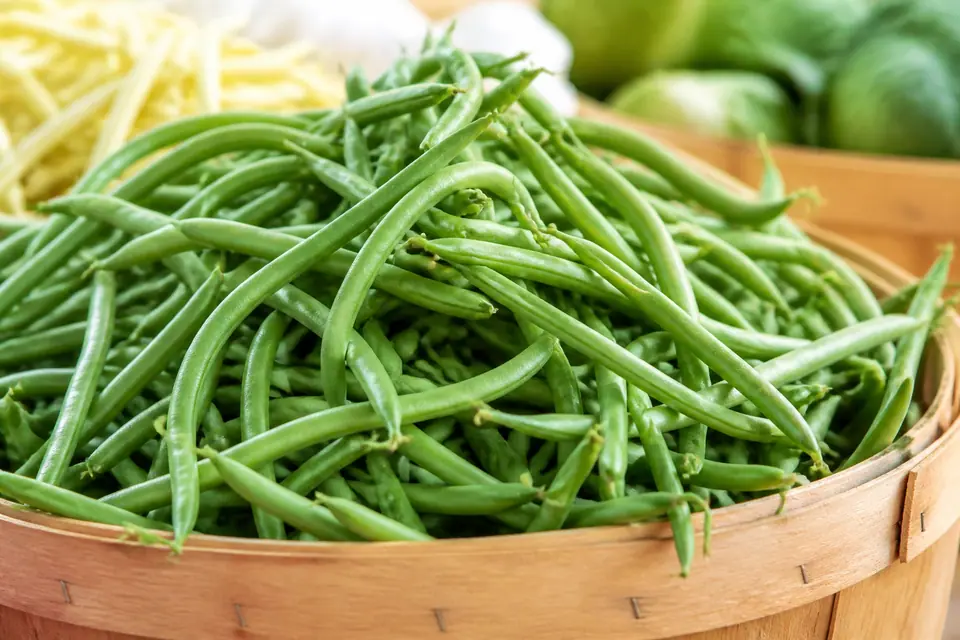 Fresh smooth green beans arranged in a wooden market basket