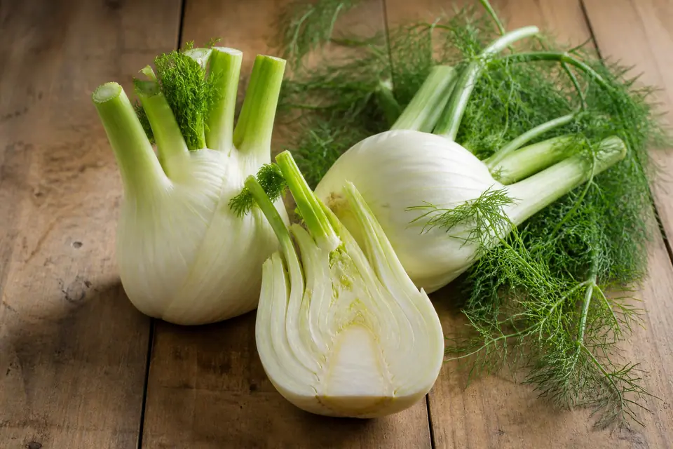 Pale fennel bulbs with green fronds and one bulb cut into layers