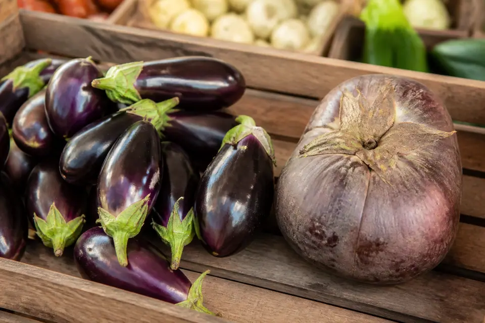Fresh young aubergines beside a market produce crate