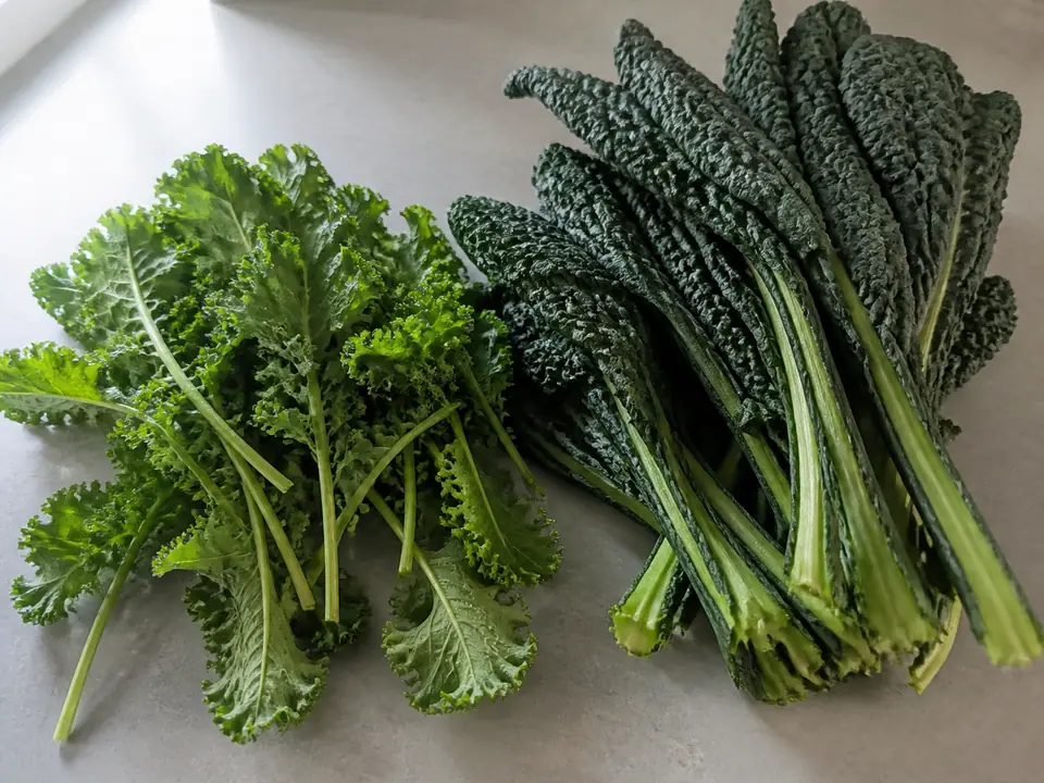 Tender young kale leaves beside a coarse older bunch