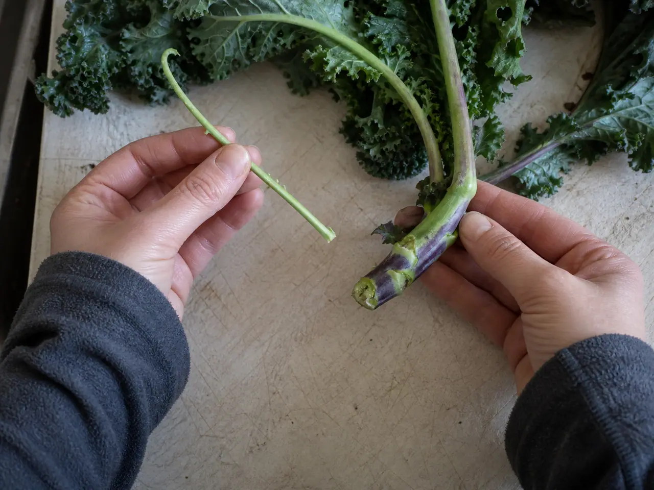 Hands checking kale stems and leaf texture before buying
