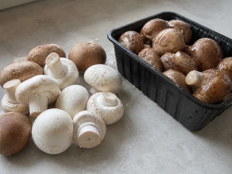 Firm dry mushrooms beside a bruised damp mushroom pack