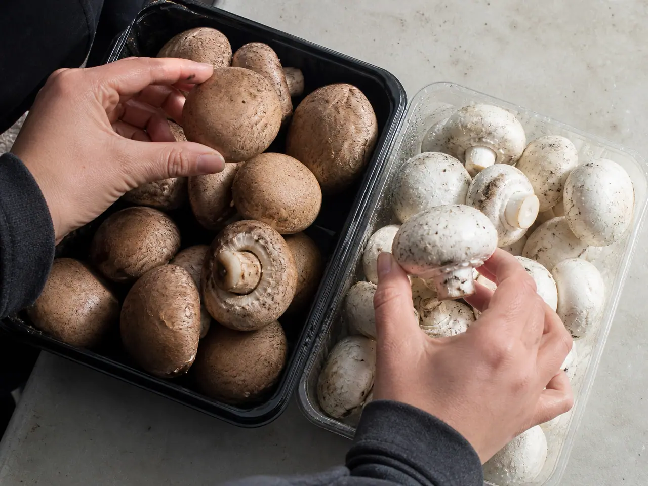 Hands checking mushroom caps and stems for firmness