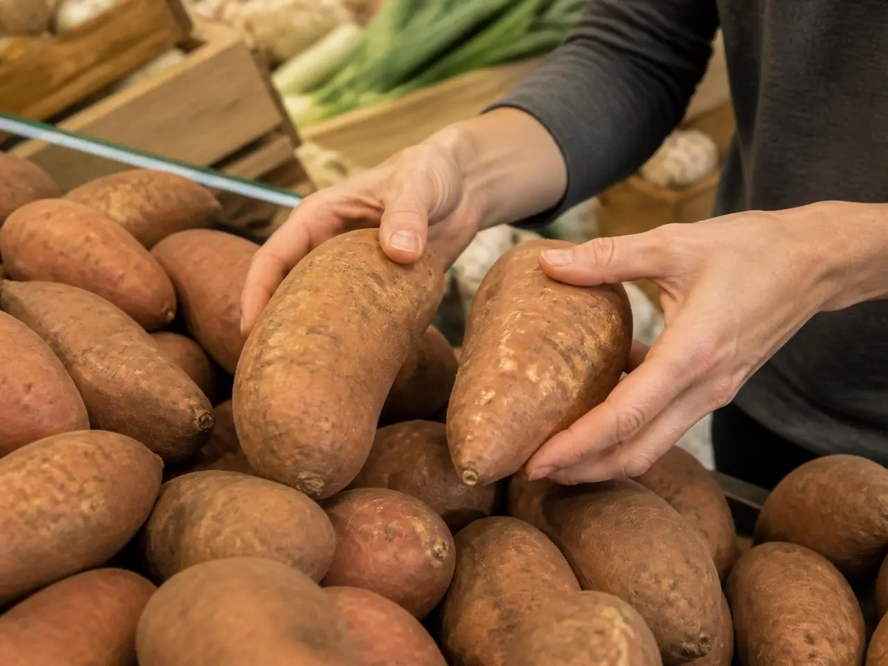 Hands pressing sweet potatoes to check firmness at the market