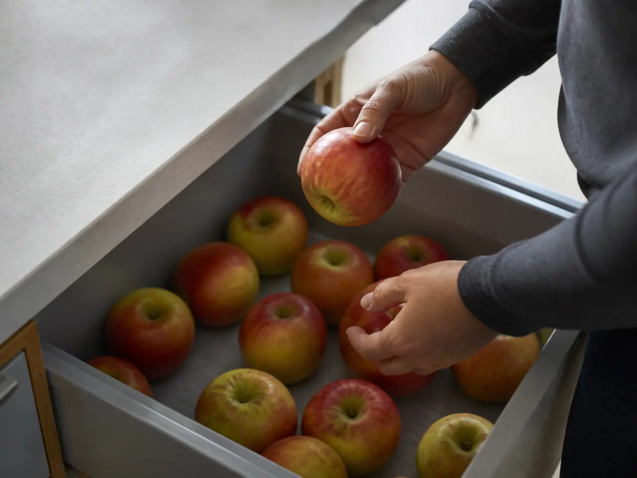 Hands checking apples for bruises before arranging them in storage