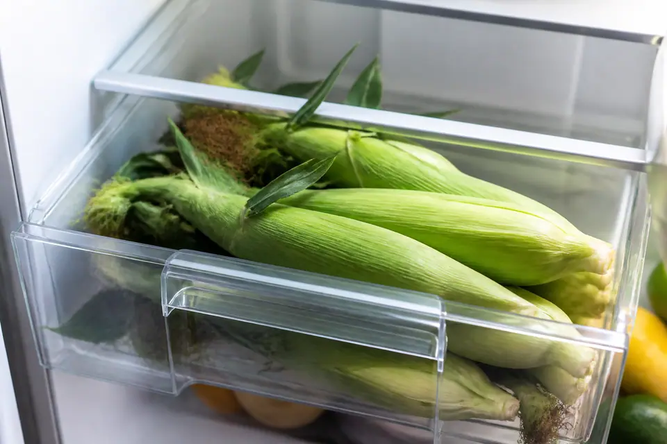 Husked corn ears kept cold in a refrigerator drawer