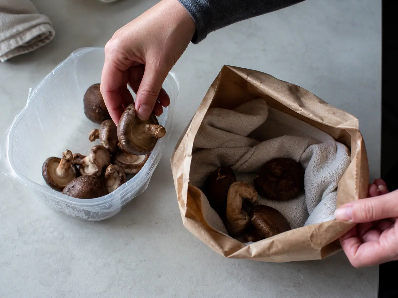 Hands moving dry mushrooms into a breathable paper storage bag