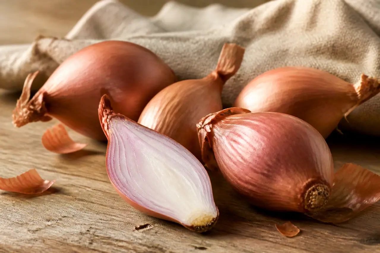 Shallots with copper skins and one cut open to show layered bulbs