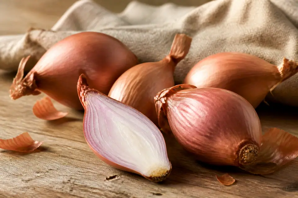 Shallots with copper skins and one cut open to show layered bulbs