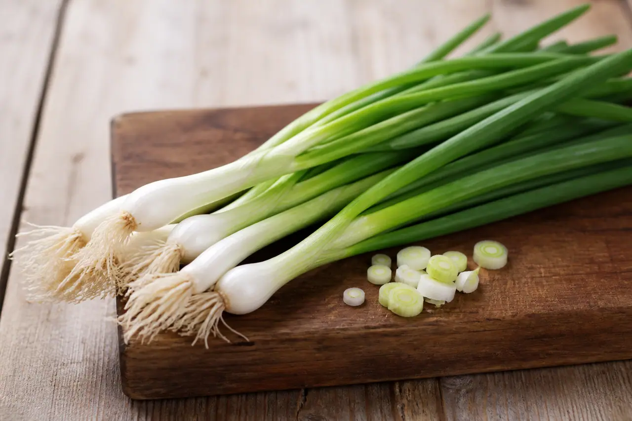 Fresh spring onions with white bulbs and long green leaves